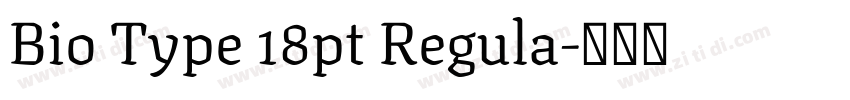 Bio Type 18pt Regula字体转换